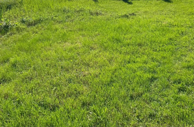 Купить земельный участок в Пушкине. Вариант № 2025748, 0, площадь -  квм, цена 12700000 рублей