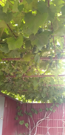 Купить дом в Владимире. Вариант № 7310, 46, площадь - квм, цена 9100000 рублей