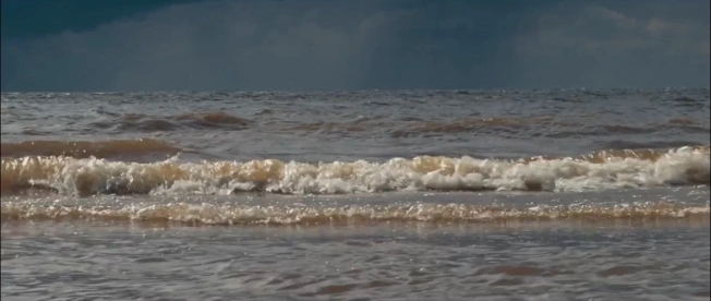 Купить земельный участок в Вологодской области. Вариант № 31896, 21, площадь -  квм, цена 5999000 рублей