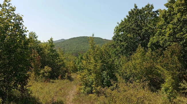 Купить земельный участок на улице Центральная в Новороссийске. Вариант № 11904, 4, площадь -  квм, цена 634000 рублей