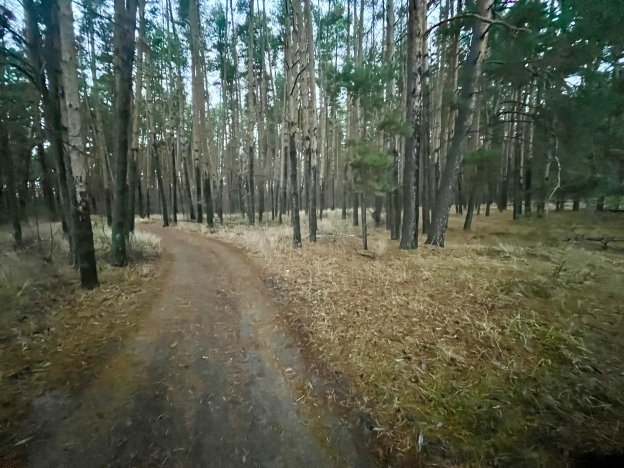 Купить земельный участок в Пензе. Вариант № 9318386, 3, площадь -  квм, цена 8500000 рублей