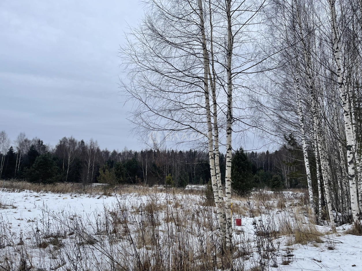 Photo https://36000382-a1c2-4a8a-a109-3fc3bfc73cf7.selcdn.net/App/Entity/ObjectRealty/ObjectRealty/DL/ad5baa15-981b-444f-97cc-c5710b37f37f/vFjVOeU6ZNTdKs7KGMM5q76b4bdsgD5zyHeRtZGd.jpg.compressed.webp