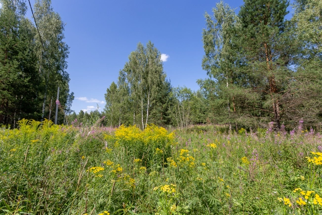 Купить земельный участок на улице Большая Лукинская в Владимире. Вариант № 14006, 2, площадь -  квм, цена 1000000 рублей