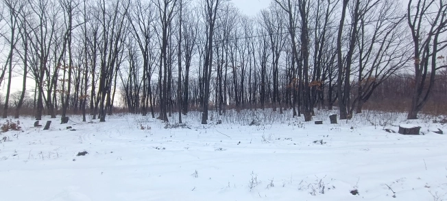 Купить земельный участок в Арсеньеве. Вариант № 21150, 4, площадь -  квм, цена 350000 рублей