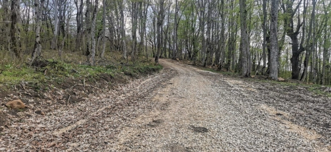 Купить земельный участок на улице Заречная в Республике Адыгея (адыгея). Вариант № 10466131, 2, площадь -  квм, цена 8500000 рублей