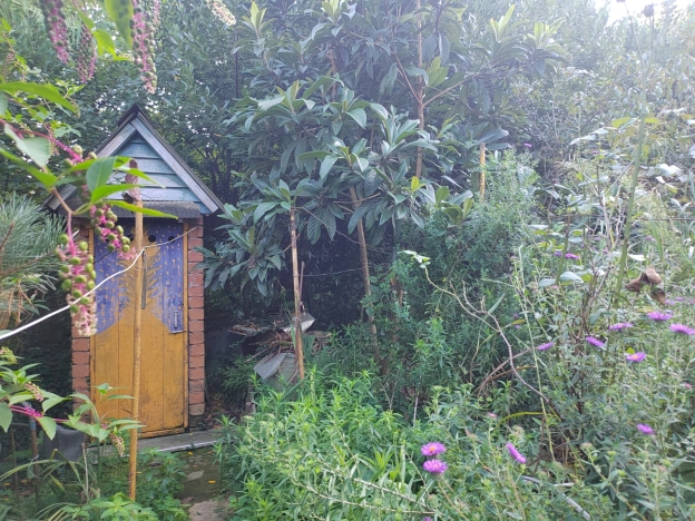 Купить дачу в Краснодарском крае. Вариант № 13467, 5, площадь -  квм, цена 5500000 рублей