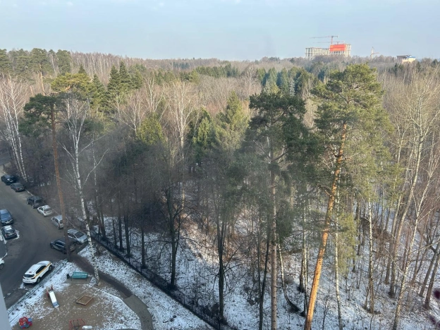 . Вариант № 27499, 14, площадь - 62.2 квм, цена 10900000 рублей