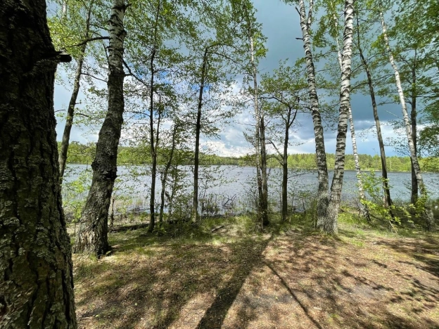 Купить земельный участок в Покрове. Вариант № 28968, 0, площадь -  квм, цена 21500000 рублей