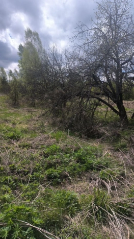 Купить земельный участок на улице 1 Мая в Нижегородской области. Вариант № 24175, 4, площадь -  квм, цена 300000 рублей