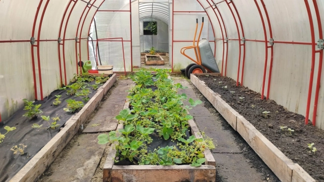 Купить земельный участок в Искитиме. Вариант № 5258410, 9, площадь -  квм, цена 2600000 рублей