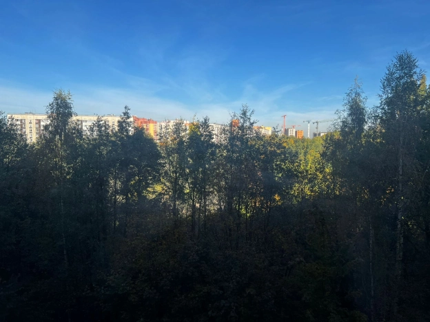 Купить двухкомнатную квартиру в Ленинградской области. Вариант № 3876365, 16, площадь -  квм, цена 7800000 рублей