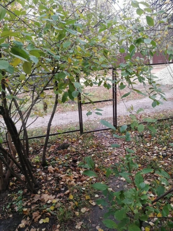 Купить квартиру на улице Муромский проезд в Коврове. Вариант № 10947807, 13, площадь - квм, цена 3600000 рублей