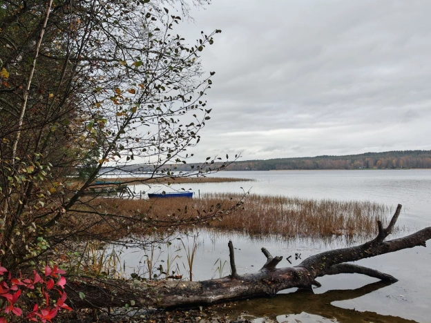 Купить земельный участок в Ленинградской области. Вариант № 8320008, 10, площадь -  квм, цена 1300000 рублей