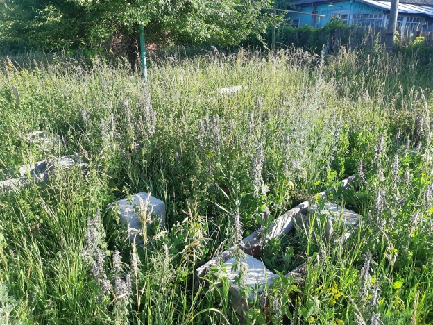 Купить земельный участок в Воронеже. Вариант № 7667, 5, площадь -  квм, цена 1200000 рублей