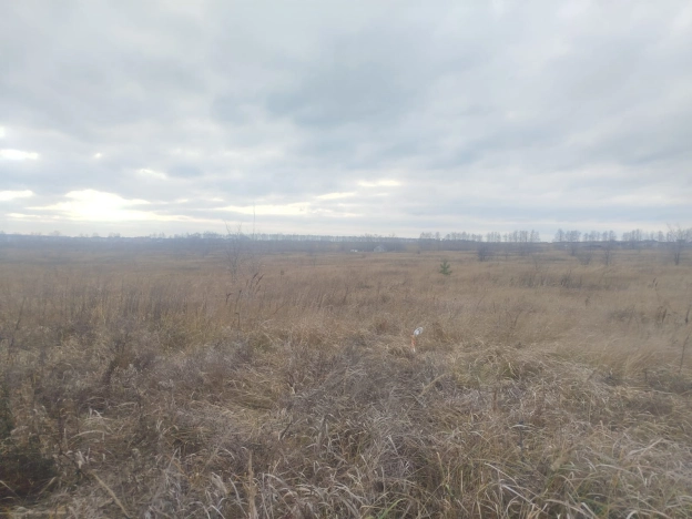 Купить земельный участок в Пензе. Вариант № 8931583, 2, площадь -  квм, цена 900000 рублей