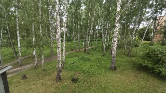 Купить квартиру в Бердске. Вариант № 7216030, 19, площадь -  квм, цена 3600000 рублей