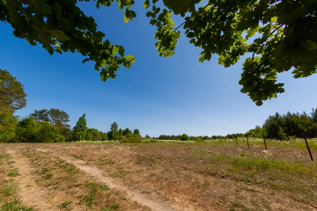 Купить земельный участок у метро Рыбацкое в Ленинградской области. Вариант № 2488, 9, площадь -  квм, цена 699000 рублей
