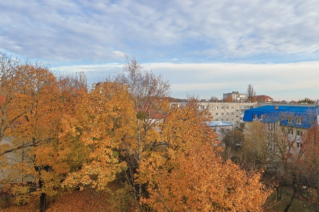 Купить четырехкомнатную квартиру в Калининграде. Вариант № 6875256, 20, площадь -  квм, цена 14950000 рублей