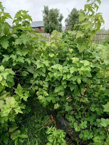 Купить дом на улице Георгия Маляревского в Тобольске. Вариант № 7724220, 9, площадь -  квм, цена 3600000 рублей