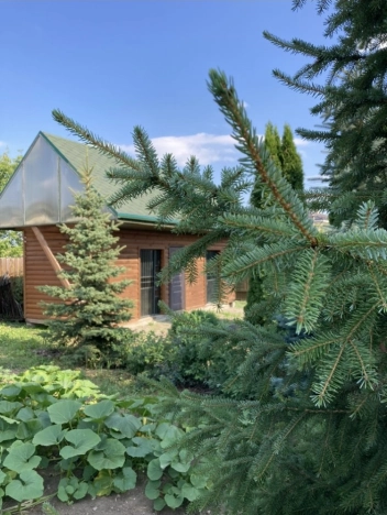 Купить дом в Боре. Вариант № 10266, 36, площадь -  квм, цена 27000000 рублей