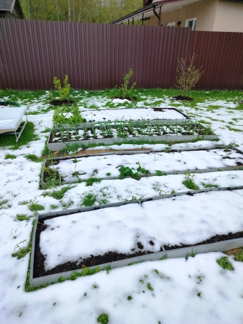 Купить дом в Дедовске. Вариант № 45152, 34, площадь -  квм, цена 9999999 рублей