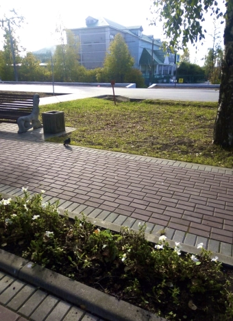 Купить земельный участок на улице Почтовая в Москве. Вариант № 46700, 13, площадь -  квм, цена 4600000 рублей