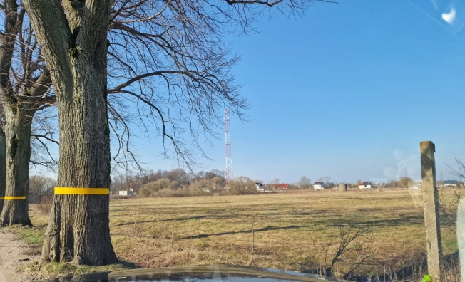 Купить земельный участок в Калининграде. Вариант № 30472, 1, площадь - квм, цена 29000000 рублей