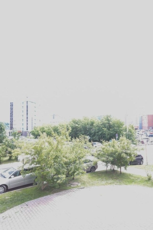 Купить однокомнатную квартиру в ЦАО в Новосибирске. Вариант № 8467930, 17, площадь -  квм, цена 10000000 рублей