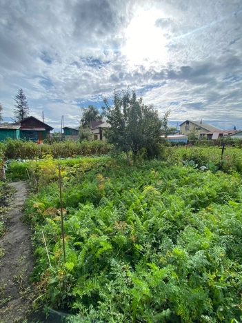 Купить дом на улице Садовая в Алтайском крае. Вариант № 2097163, 24, площадь -  квм, цена 3000000 рублей