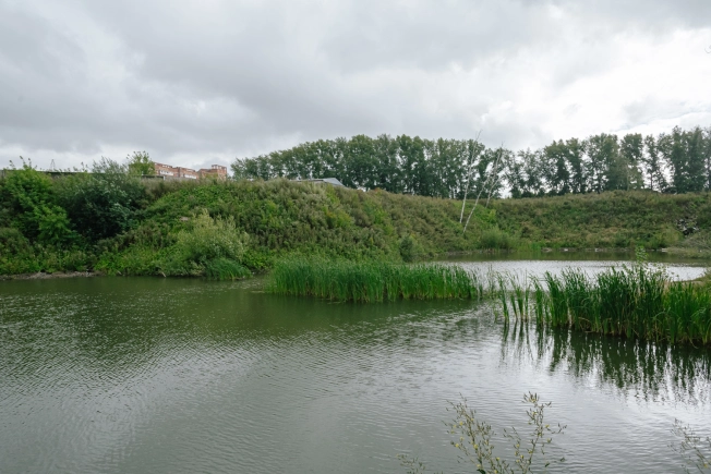 . Вариант № 11807, 7, площадь - 28 квм, цена 5500000 рублей