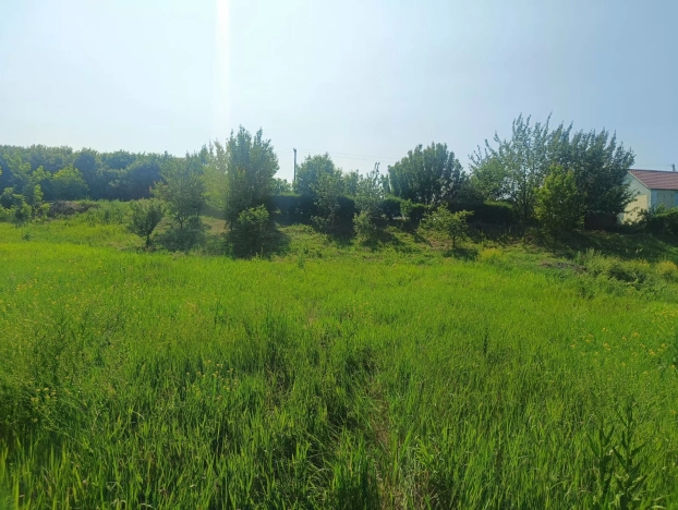 Купить земельный участок в Воронеже. Вариант № 365794, 3, площадь -  квм, цена 742000 рублей