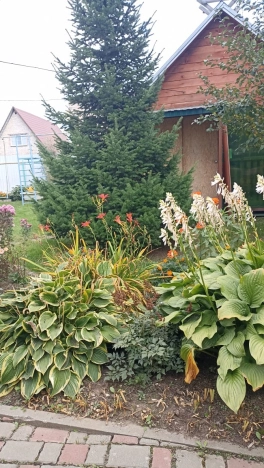 Купить дом в районе Заельцовский в Новосибирске. Вариант № 5441533, 31, площадь -  квм, цена 12990000 рублей