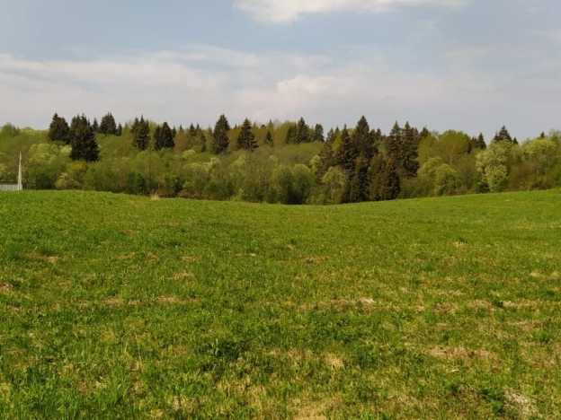 Купить земельный участок в Краснозаводске. Вариант № 972, 2, площадь -  квм, цена 1100000 рублей