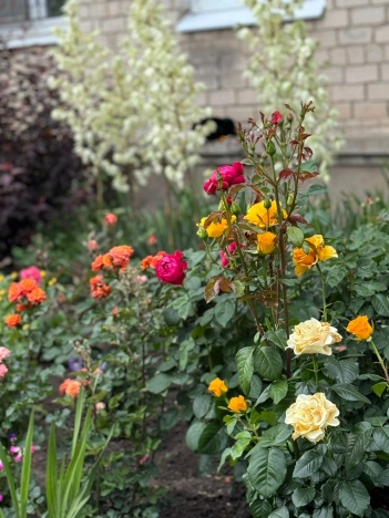 . Вариант № 57784, 12, площадь - 54 квм, цена 5850000 рублей