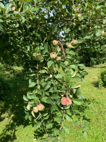 Купить дом в Калуге. Вариант № 8607, 18, площадь -  квм, цена 2400000 рублей