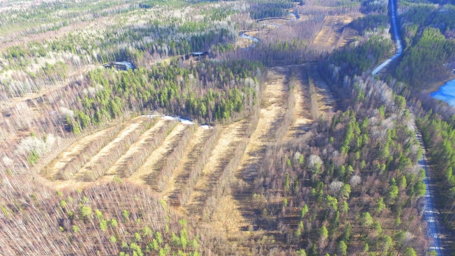 Купить земельный участок в Республике Карелия. Вариант № 13851, 2, площадь -  квм, цена 6000000 рублей