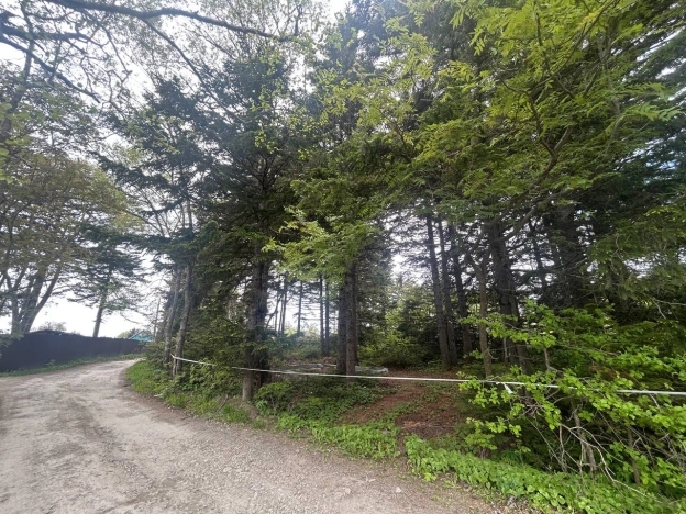 Купить дом в Южно-Сахалинске. Вариант № 35951, 10, площадь -  квм, цена 2150000 рублей