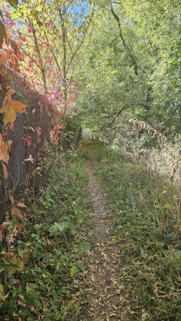 Купить земельный участок у метро Медведково в Королёве. Вариант № 13929, 12, площадь -  квм, цена 6000000 рублей