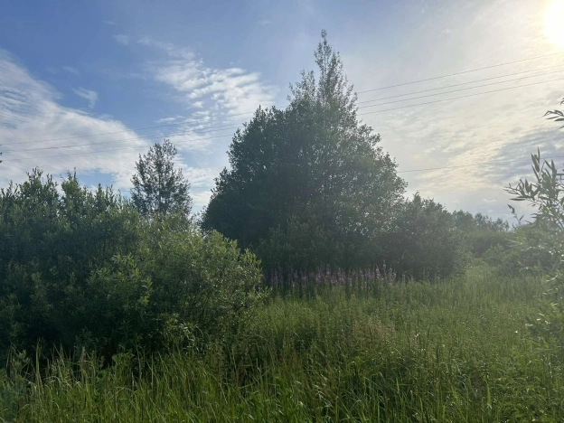 Купить земельный участок в Гусь-Хрустальном. Вариант № 4603, 3, площадь -  квм, цена 360000 рублей