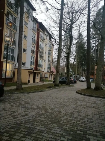 Купить однокомнатную квартиру в Светлогорске. Вариант № 33121, 18, площадь -  квм, цена 9900000 рублей