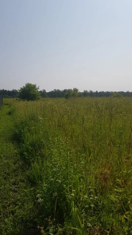 Купить земельный участок в Владимире. Вариант № 1429, 2, площадь -  квм, цена 270000 рублей