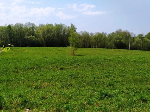 Купить земельный участок в Краснозаводске. Вариант № 972, 9, площадь -  квм, цена 1100000 рублей