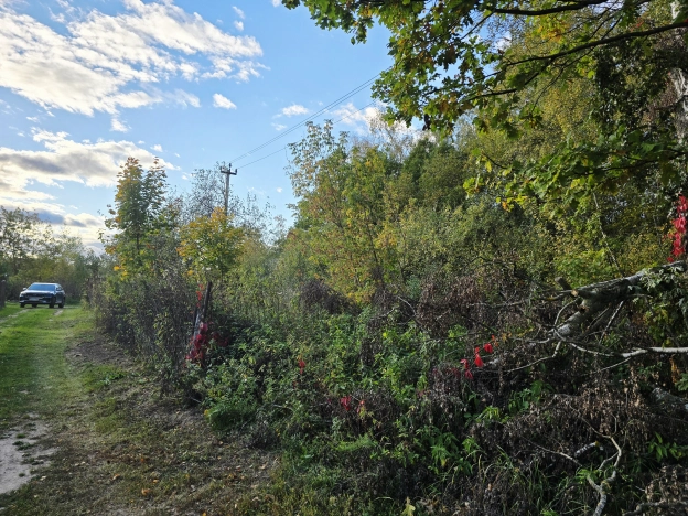Купить земельный участок в Владимире. Вариант № 5843882, 3, площадь -  квм, цена 399000 рублей