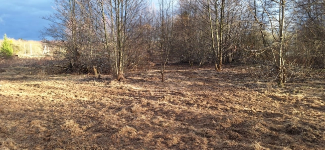 Купить земельный участок в Калининграде. Вариант № 25170, 1, площадь - квм, цена 1089000 рублей