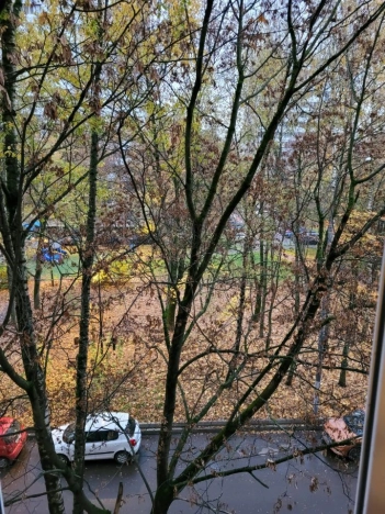 Купить квартиру в Москве. Вариант № 10176381, 7, площадь - квм, цена 15950000 рублей