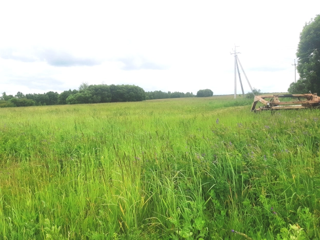 Купить земельный участок в Пензе. Вариант № 635, 3, площадь -  квм, цена 3490000 рублей