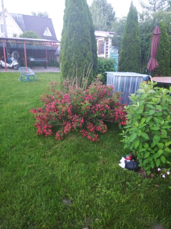 Купить дом в Тульской области. Вариант № 10134780, 29, площадь -  квм, цена 17000000 рублей