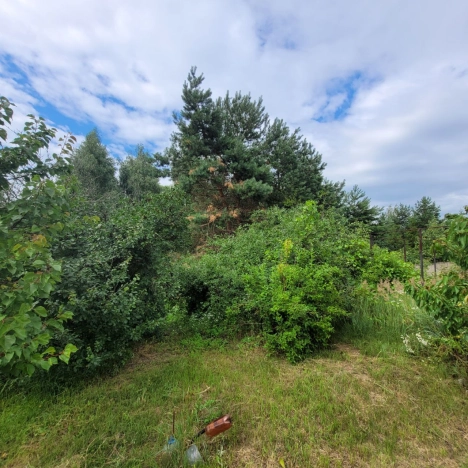 Купить дом в Белгороде. Вариант № 3043, 17, площадь -  квм, цена 7800000 рублей