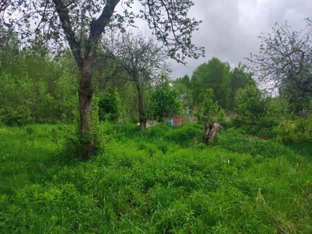 Купить дом в Боре. Вариант № 32520, 5, площадь -  квм, цена 1500000 рублей