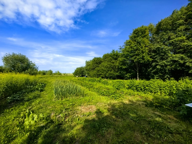 Купить дом в Зеленоградске. Вариант № 203767, 25, площадь -  квм, цена 10050000 рублей